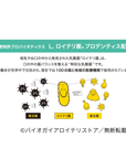 プロデンティス ミント 10錠トライアルパッケージ(賞味期限:2026年8月)