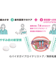 プロデンティス ミント 10錠トライアルパッケージ(賞味期限:2026年8月)