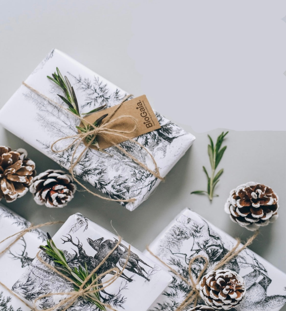 年末年始の営業について（2025~2026）