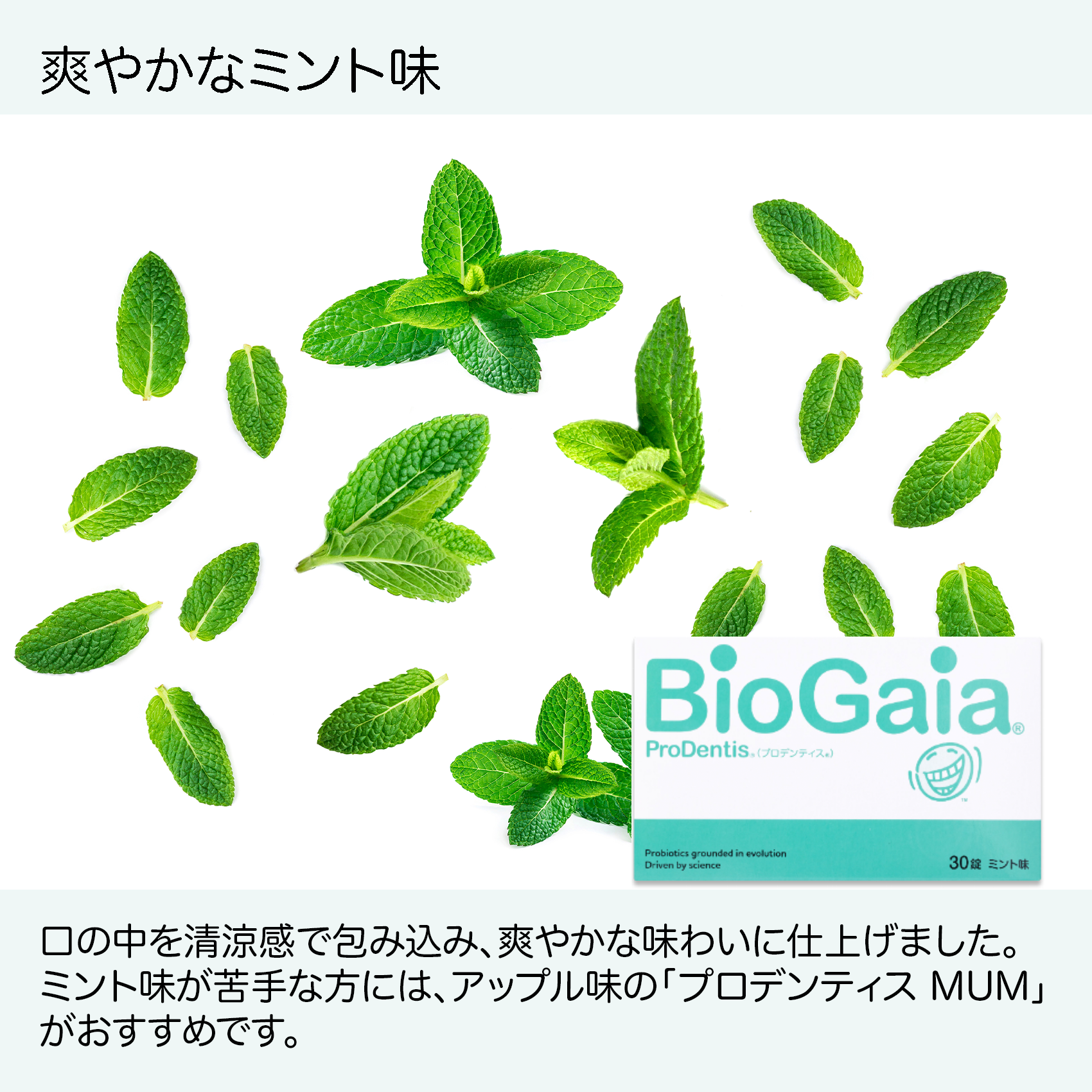 バイオガイア プロデンティス ミント味 30錠入 5箱 【公式通販】