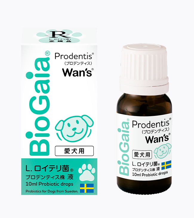 バイオガイア ロイテリ菌 10ml×2個 楽天市場】【公式ストア】バイオガイア チャイルドヘルス 10ml