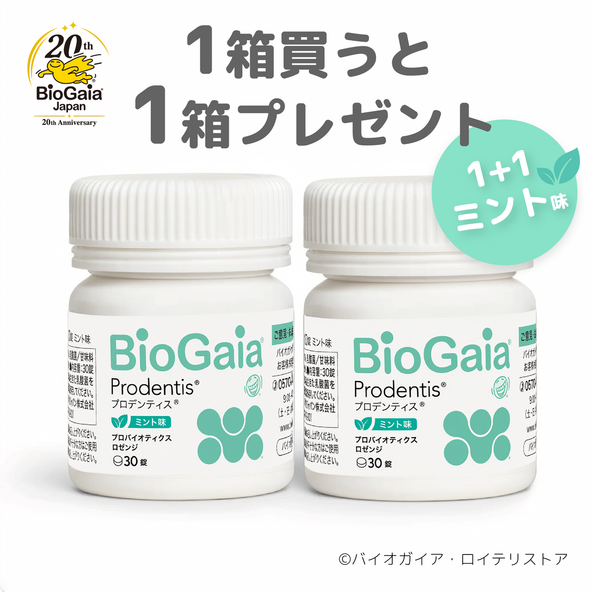 創業20周年記念 2本セット】プロデンティス ミント味 ボトル2本