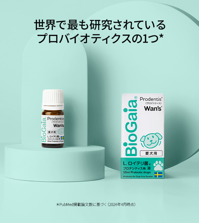 PDWans10ml – バイオガイアロイテリストア PDWans10ml – バイオガイアロイテリストア